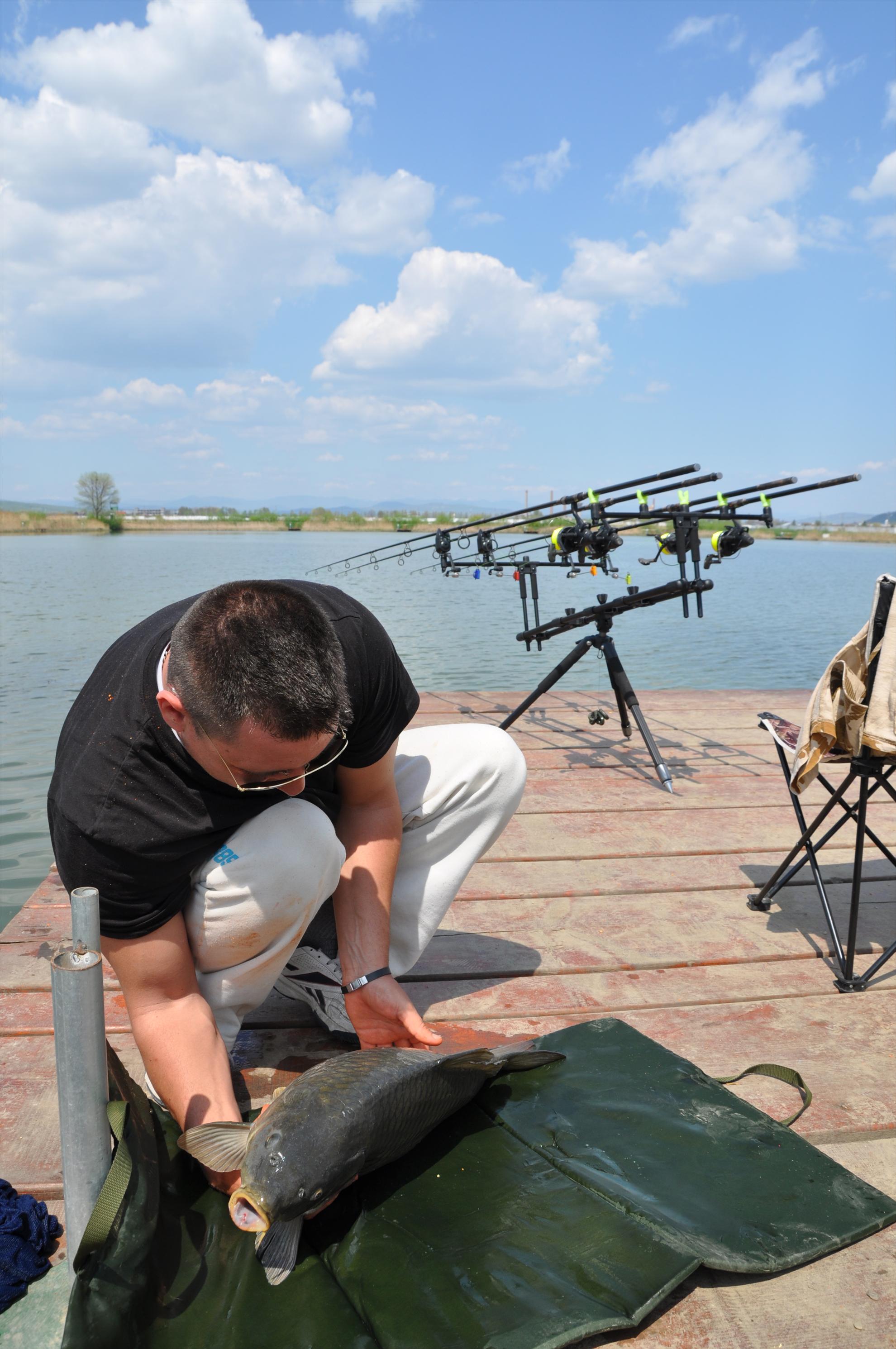 GALERIE FOTO TROFEUL USAMV - PLEASA 2 - dsc0495.JPG